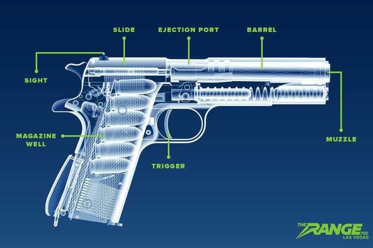 gun diagram parts