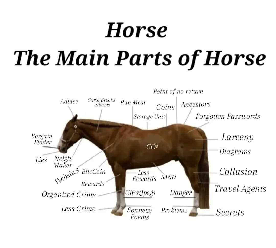 horse body parts diagram