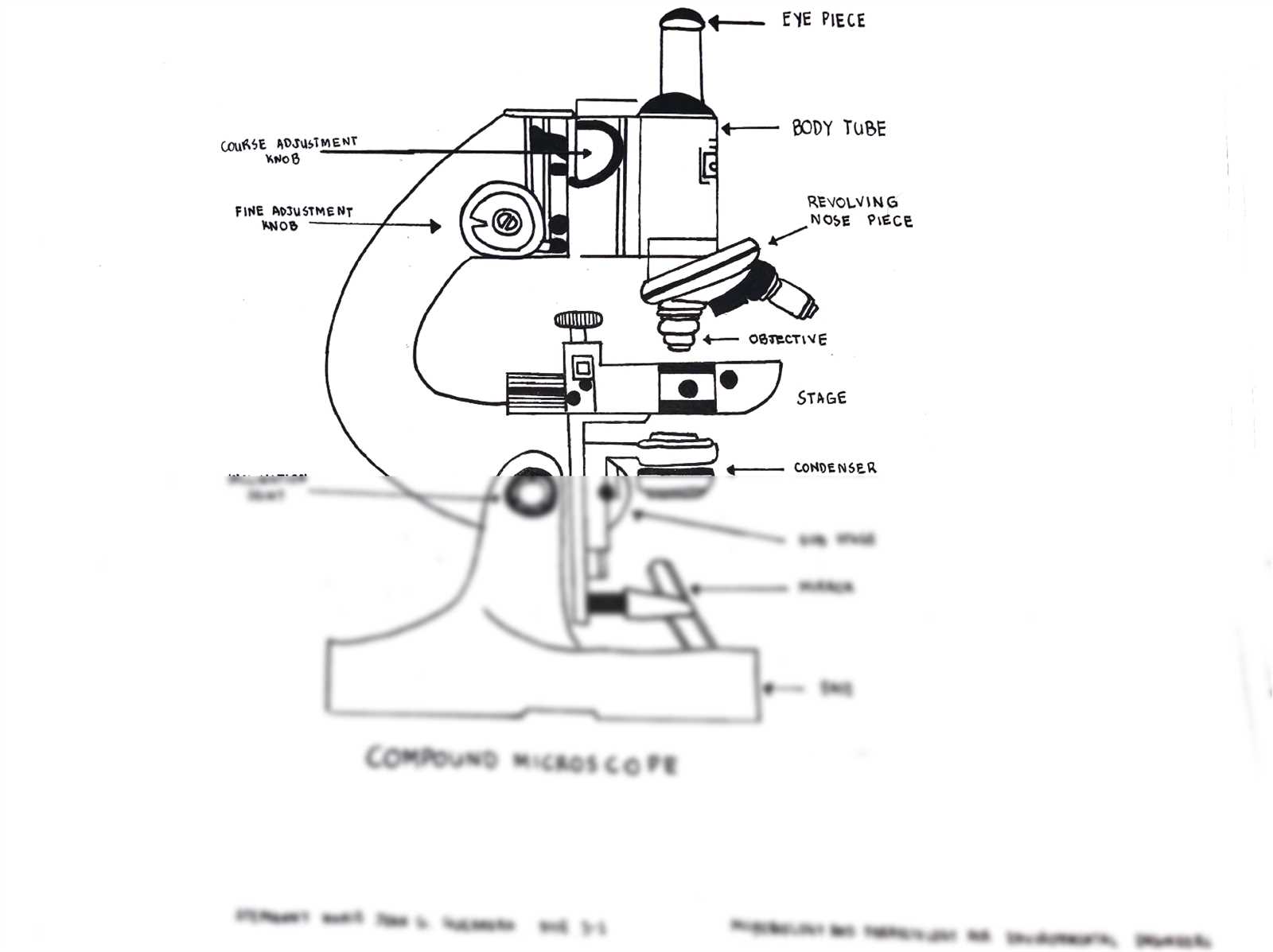 compound microscope parts diagram