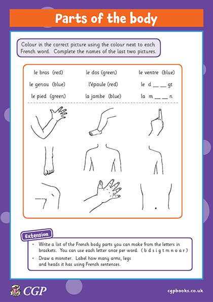 french body parts diagram