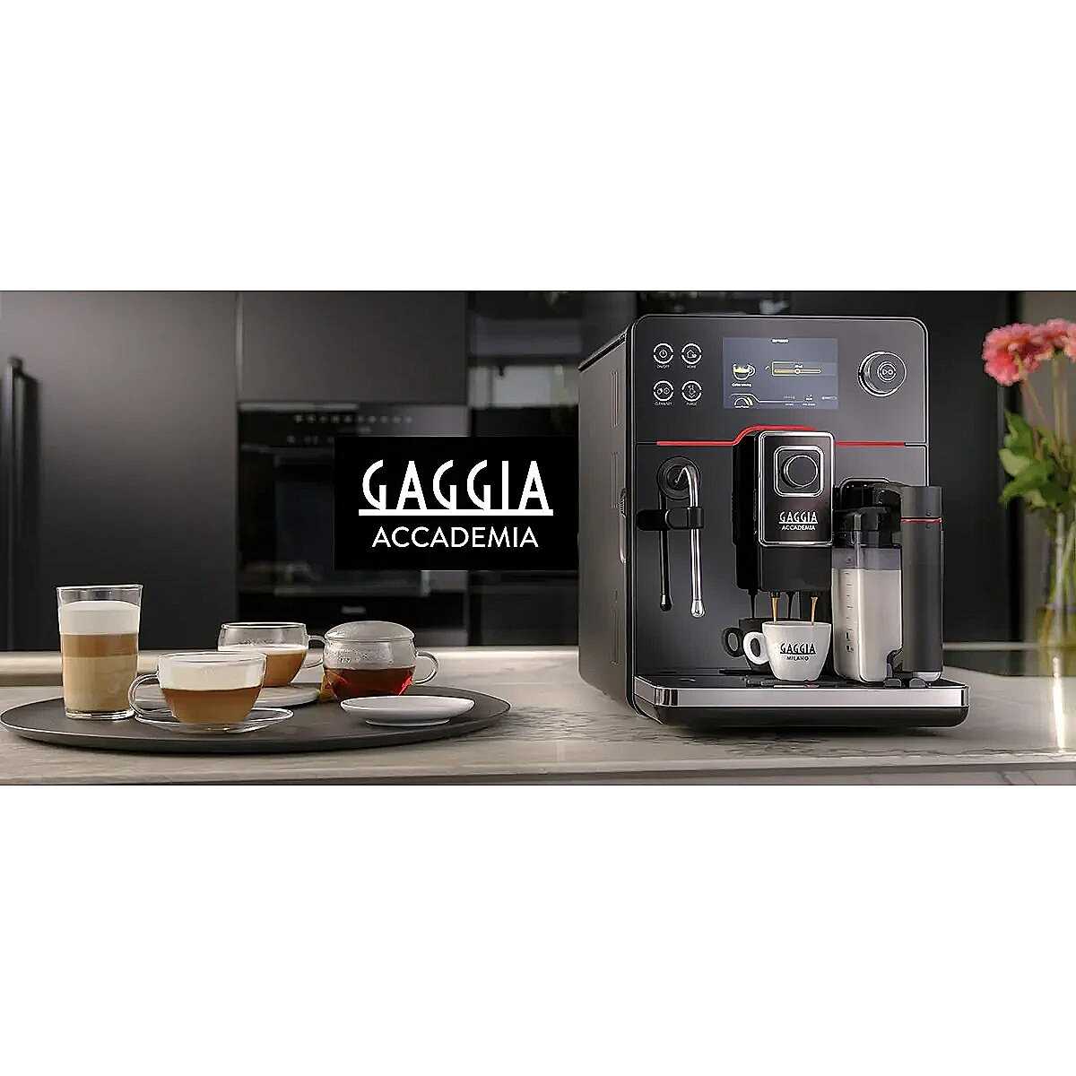 gaggia accademia parts diagram