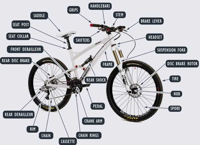 mountain bike frame parts diagram