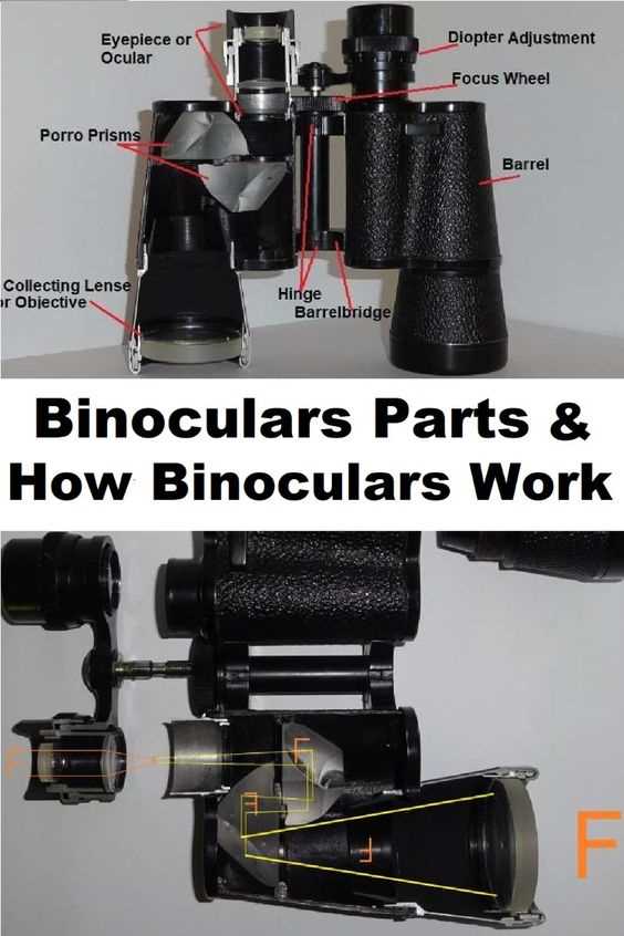 nikon binocular parts diagram