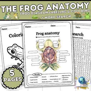 frog parts diagram