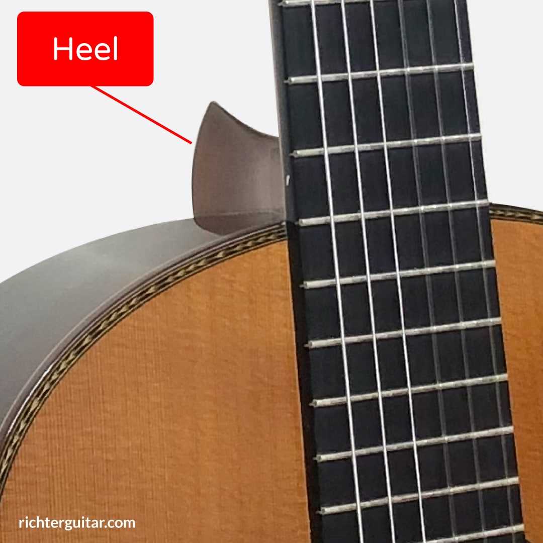 classical guitar parts diagram