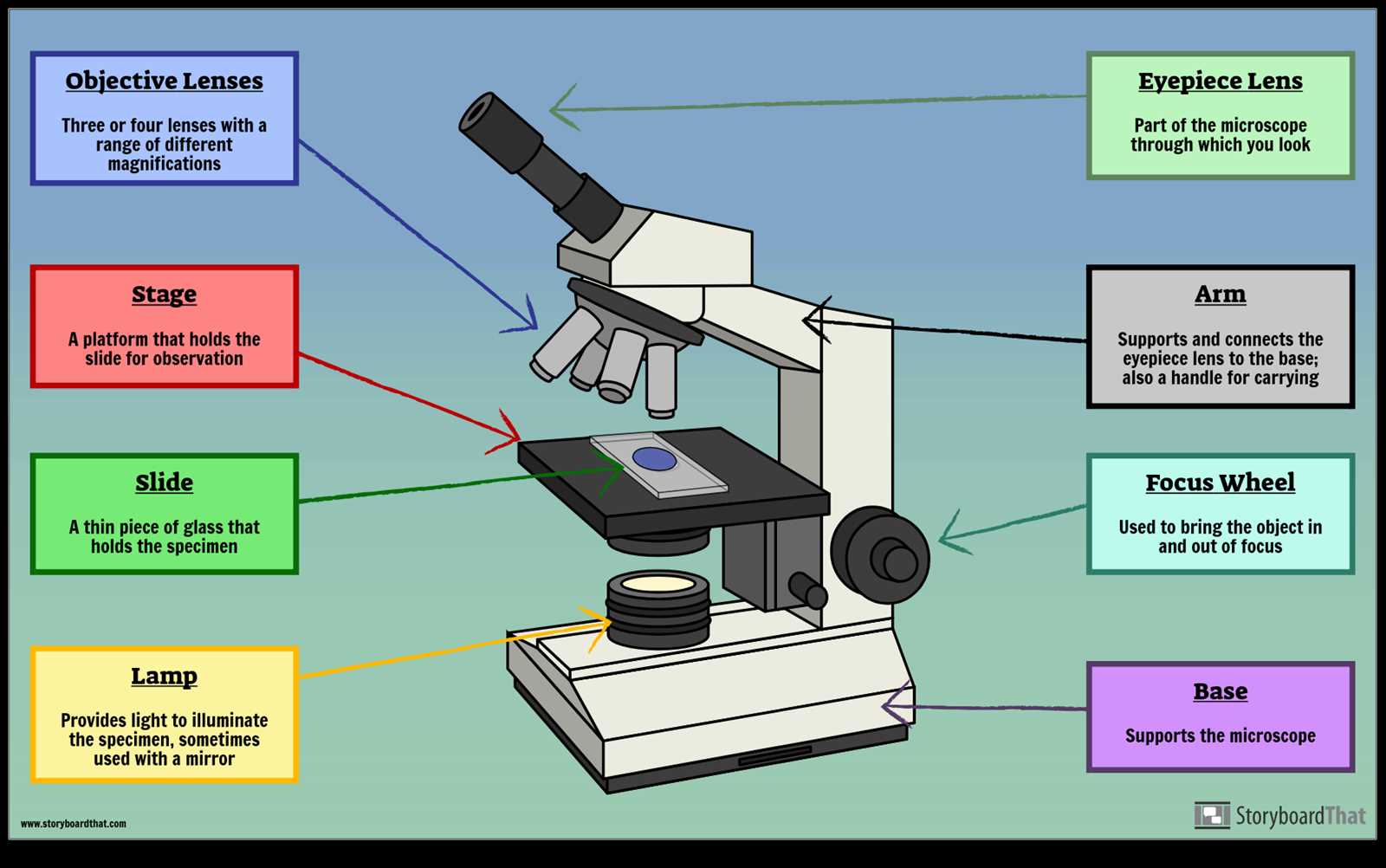 diagram of a microscope and functions of its parts