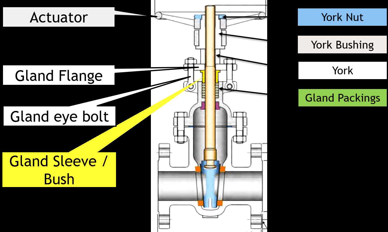 globe valve parts diagram