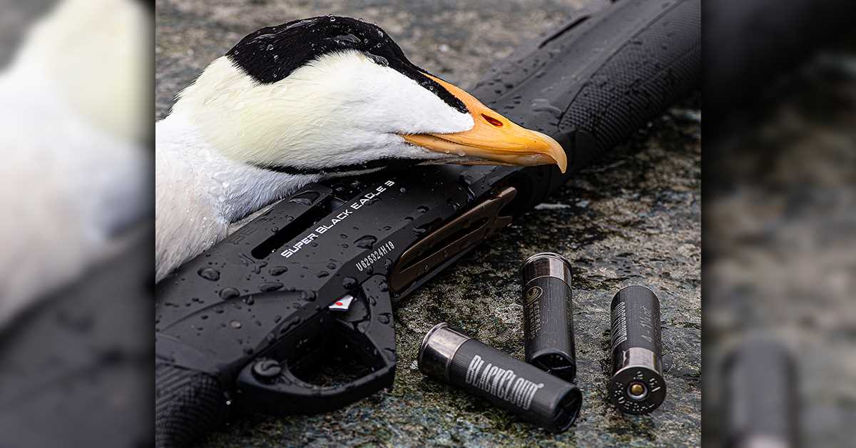 benelli super black eagle 3 parts diagram
