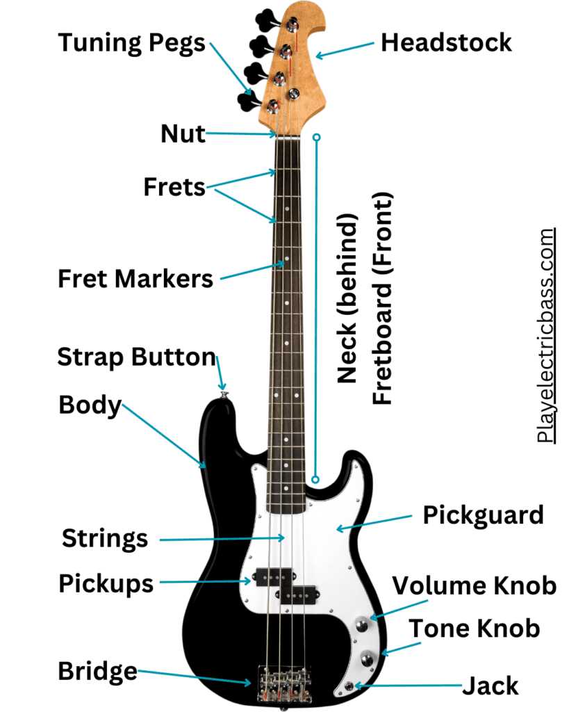 guitar bridge parts diagram