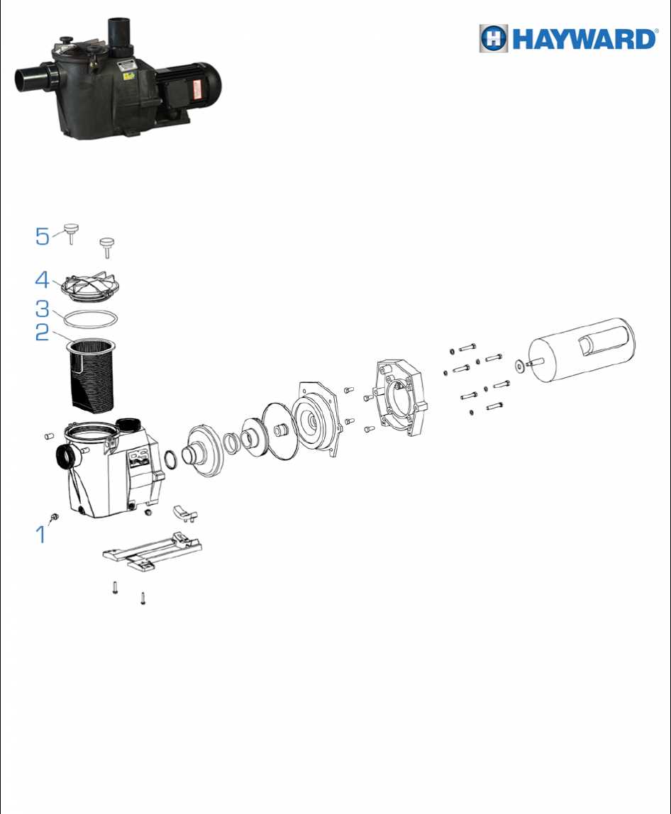 hayward pump parts diagram