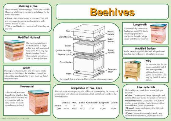 beehive parts diagram