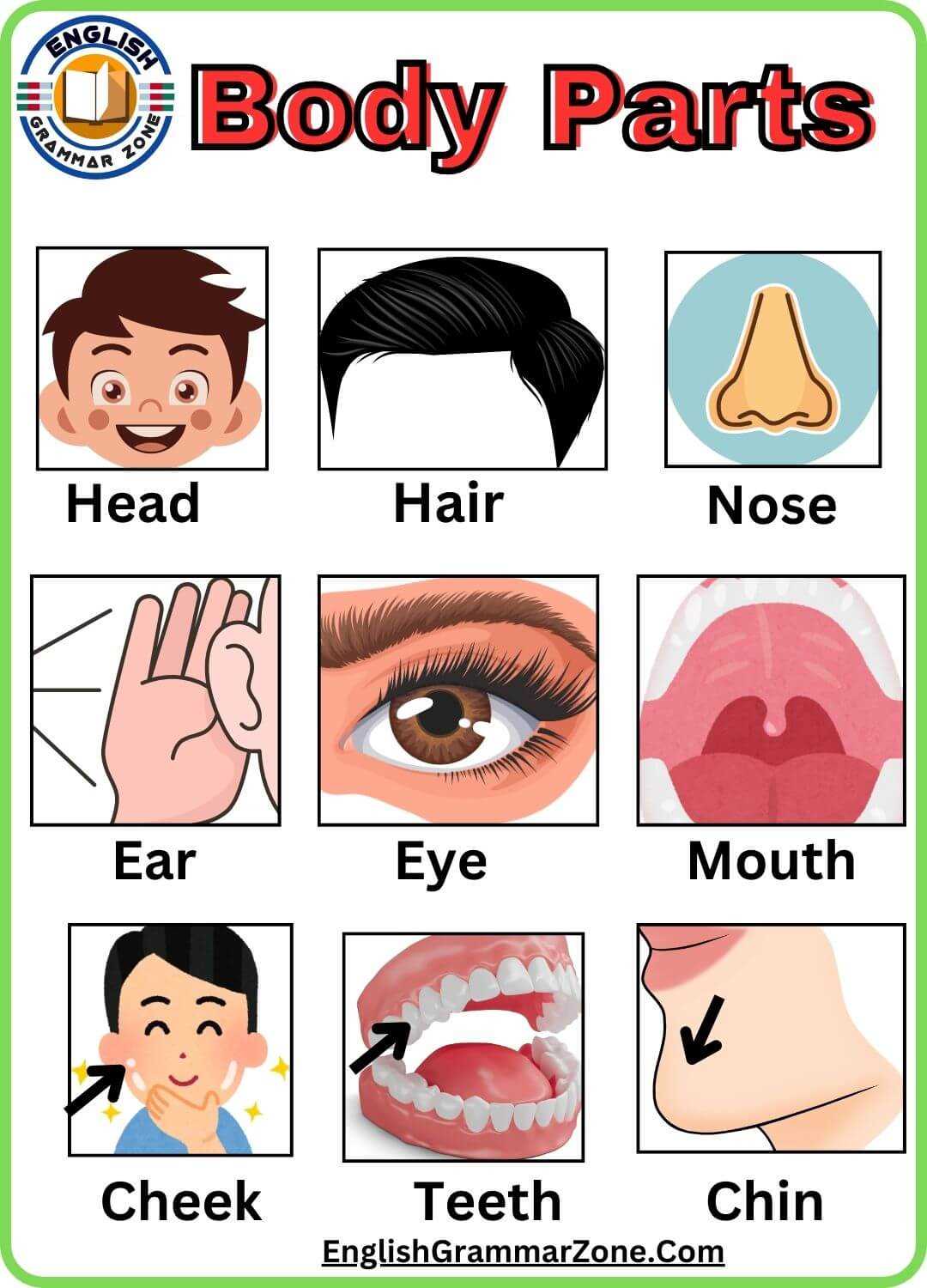 human body parts diagram with names