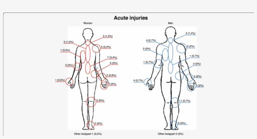 inner body parts diagram