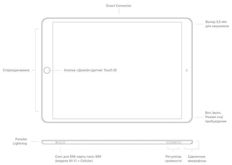 ipad mini parts diagram