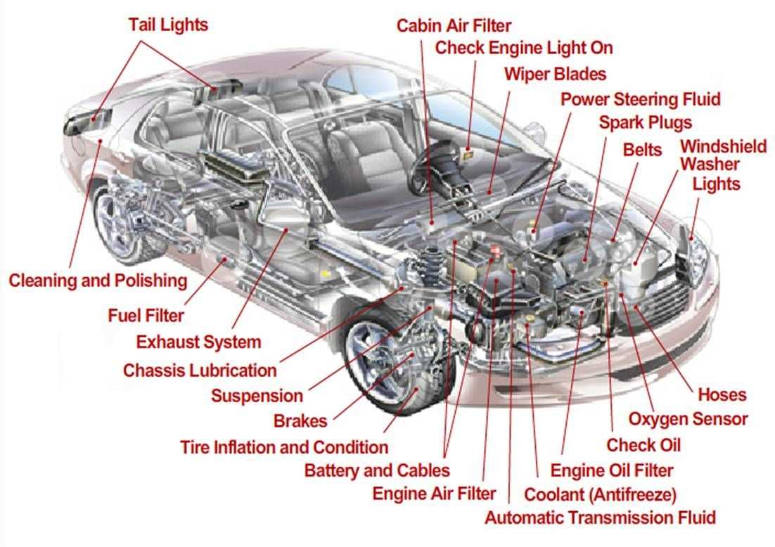 exterior car body parts names diagram