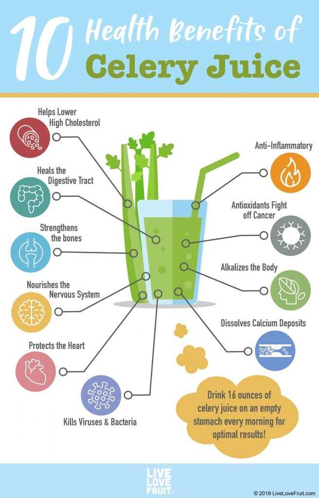 celery parts diagram