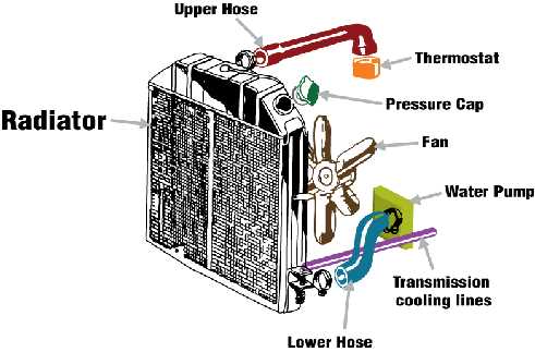 car radiator parts diagram