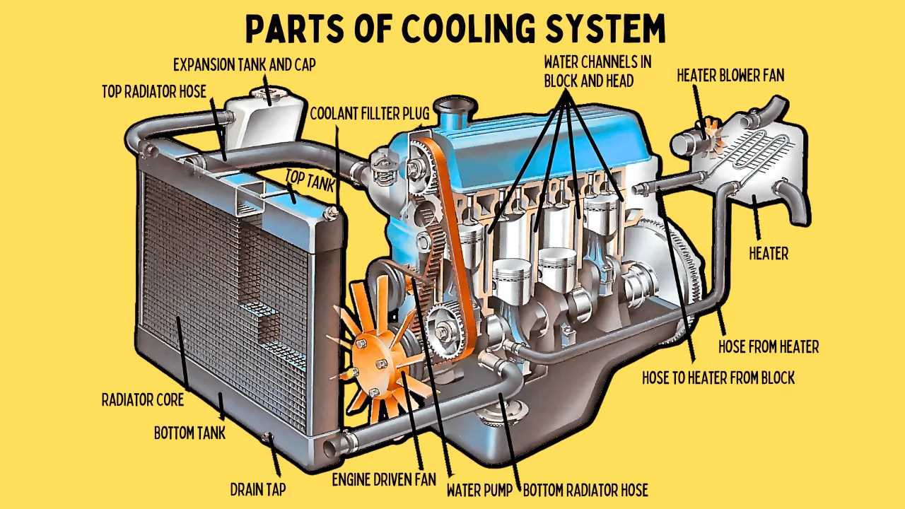 heating radiator parts diagram