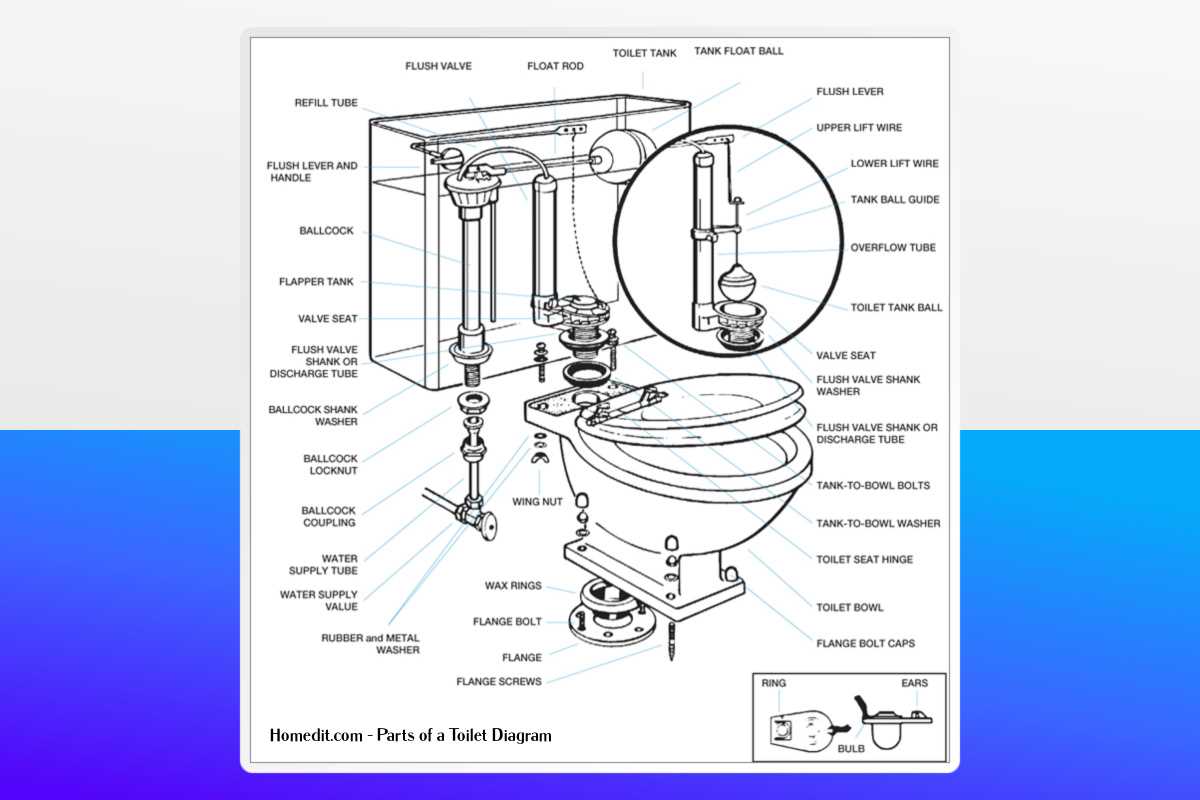 kohler toilet seat parts diagram