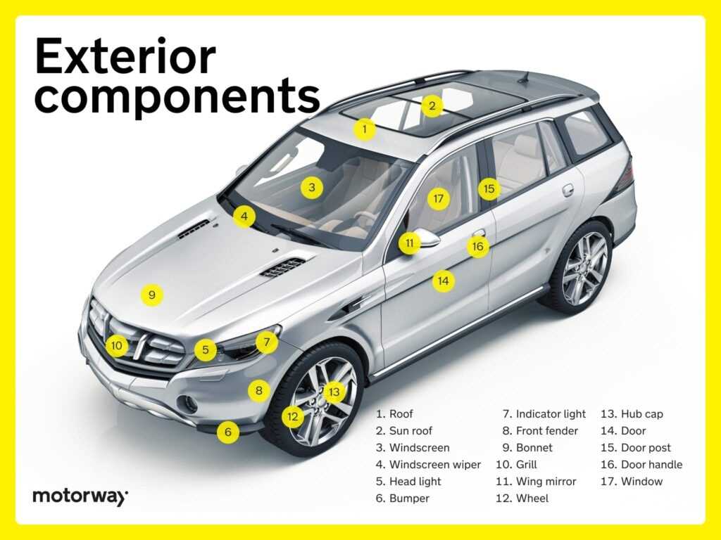 exterior auto body parts diagram