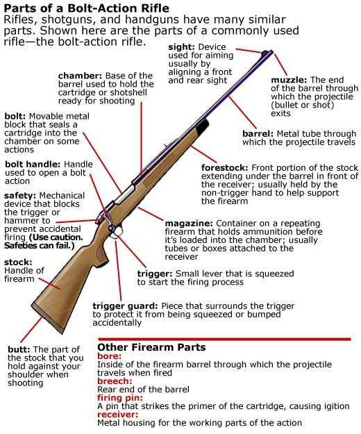 lever action henry rifle parts diagram