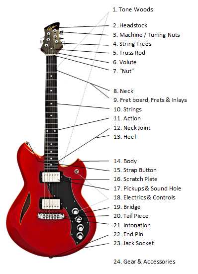 mandolin parts diagram