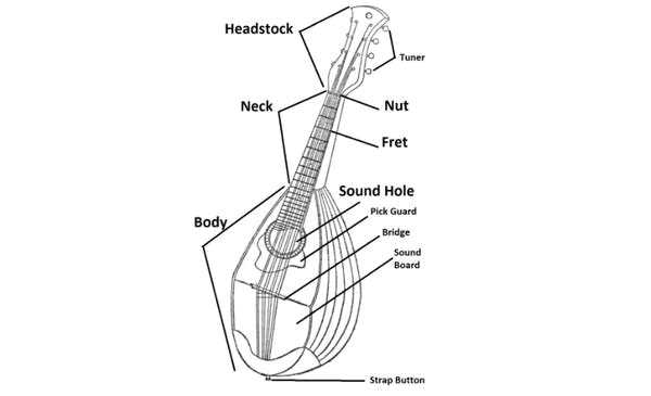 mandolin parts diagram