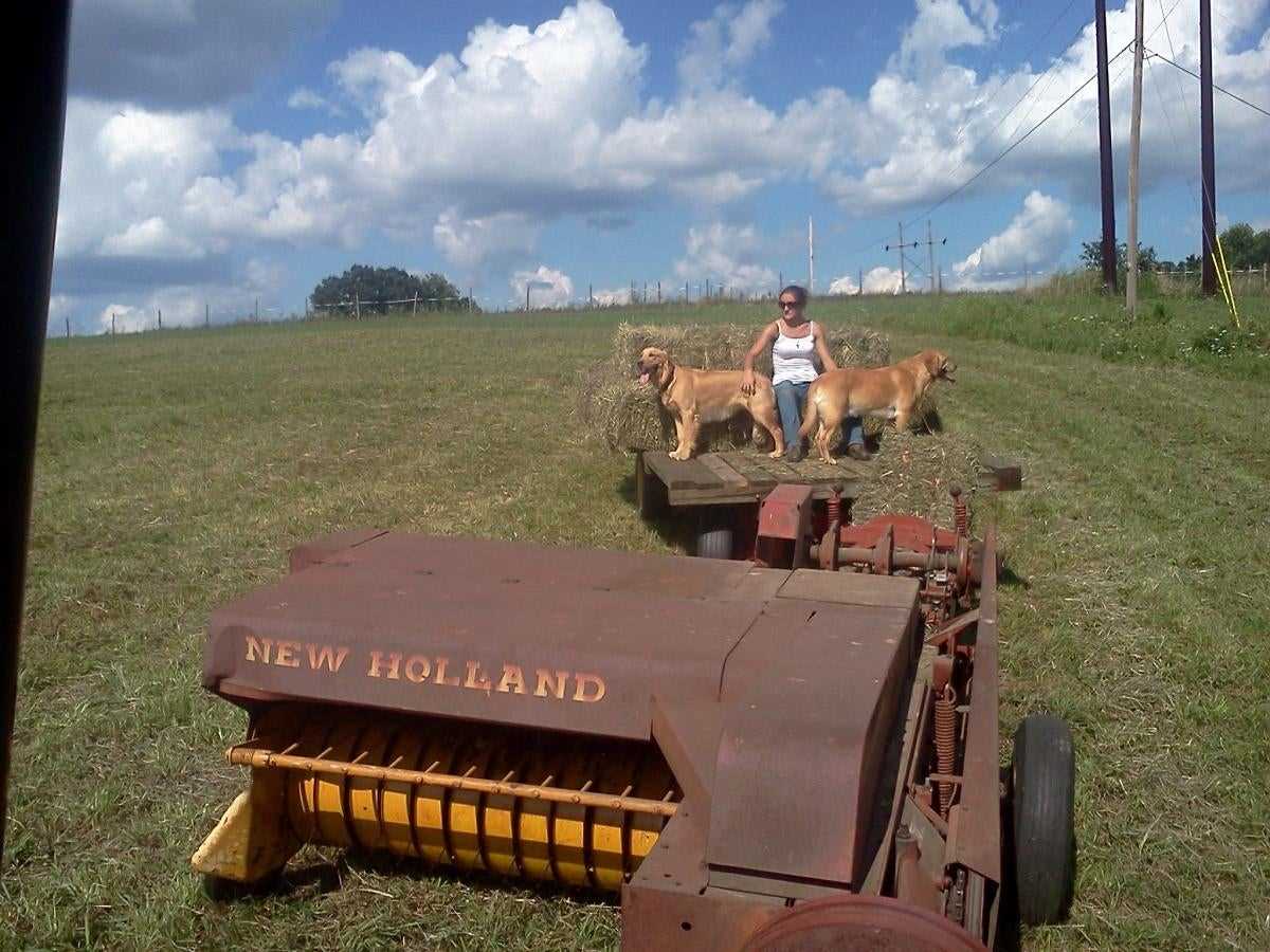 new holland 269 baler parts diagram