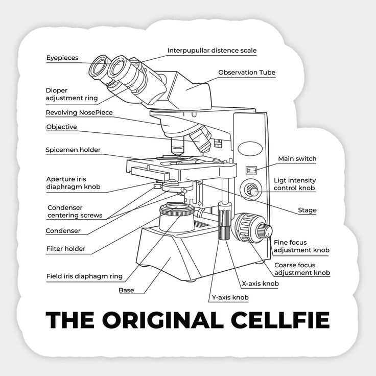 parts of a light microscope diagram