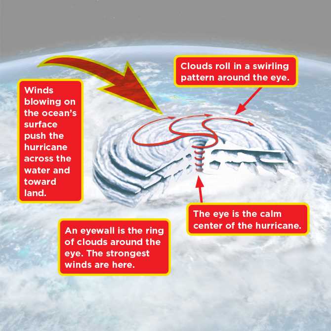 parts of a hurricane diagram