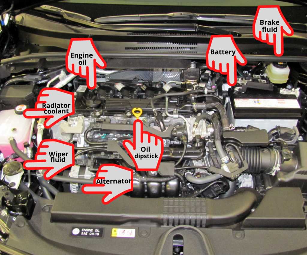 car parts under the hood diagram