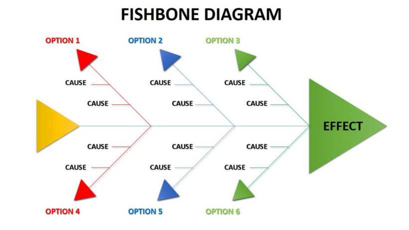 parts of a fishbone diagram