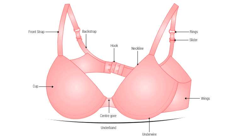 bra parts diagram