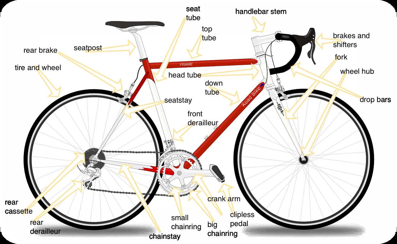 bicycle rear wheel parts diagram