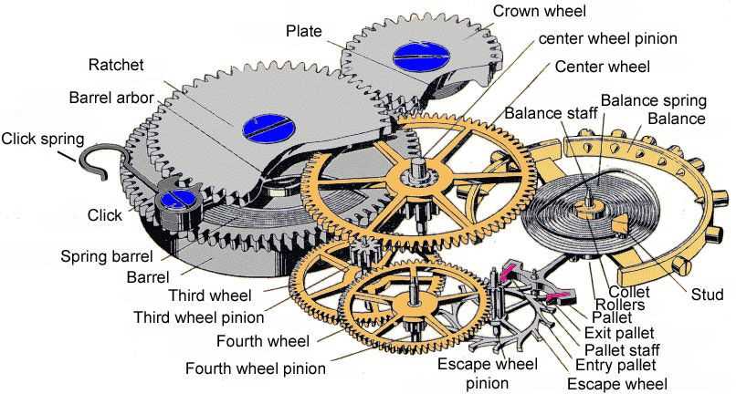 automatic watch movement parts diagram