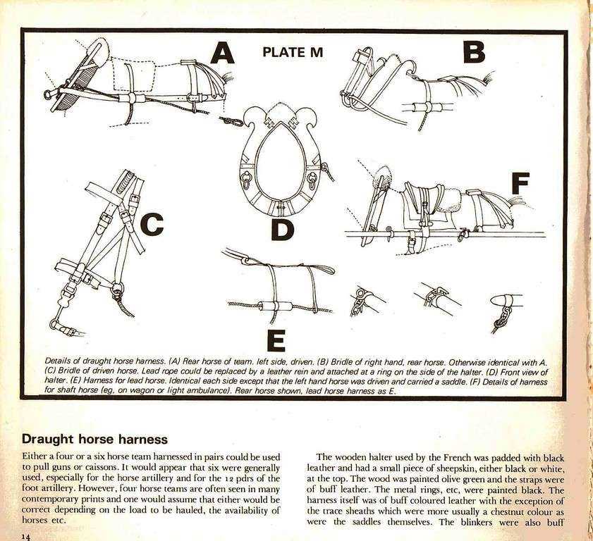 parts of a horse harness diagram