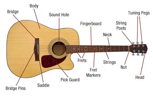 electric guitar diagram parts