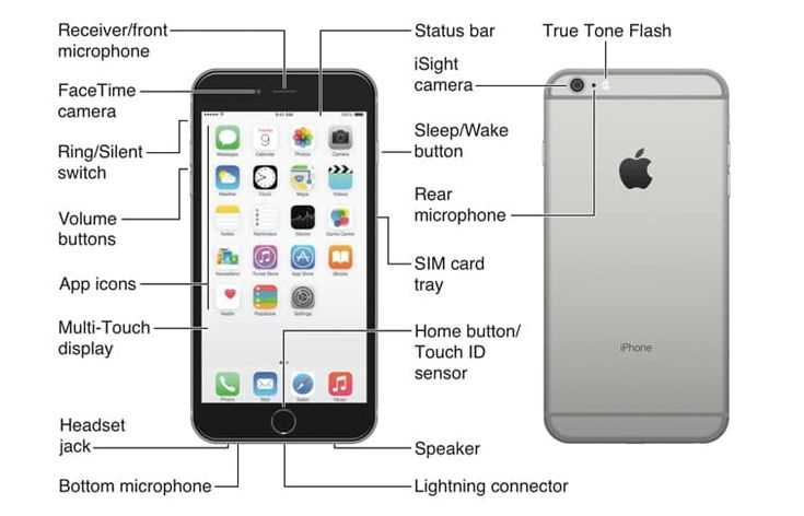 iphone 6 plus parts diagram
