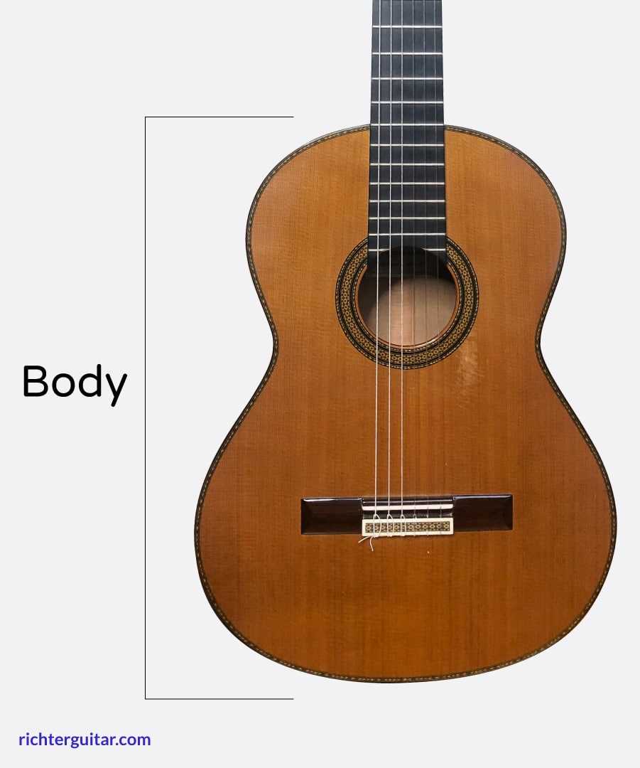 classical guitar parts diagram