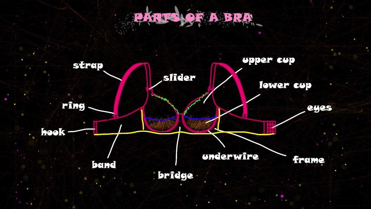 bra parts diagram