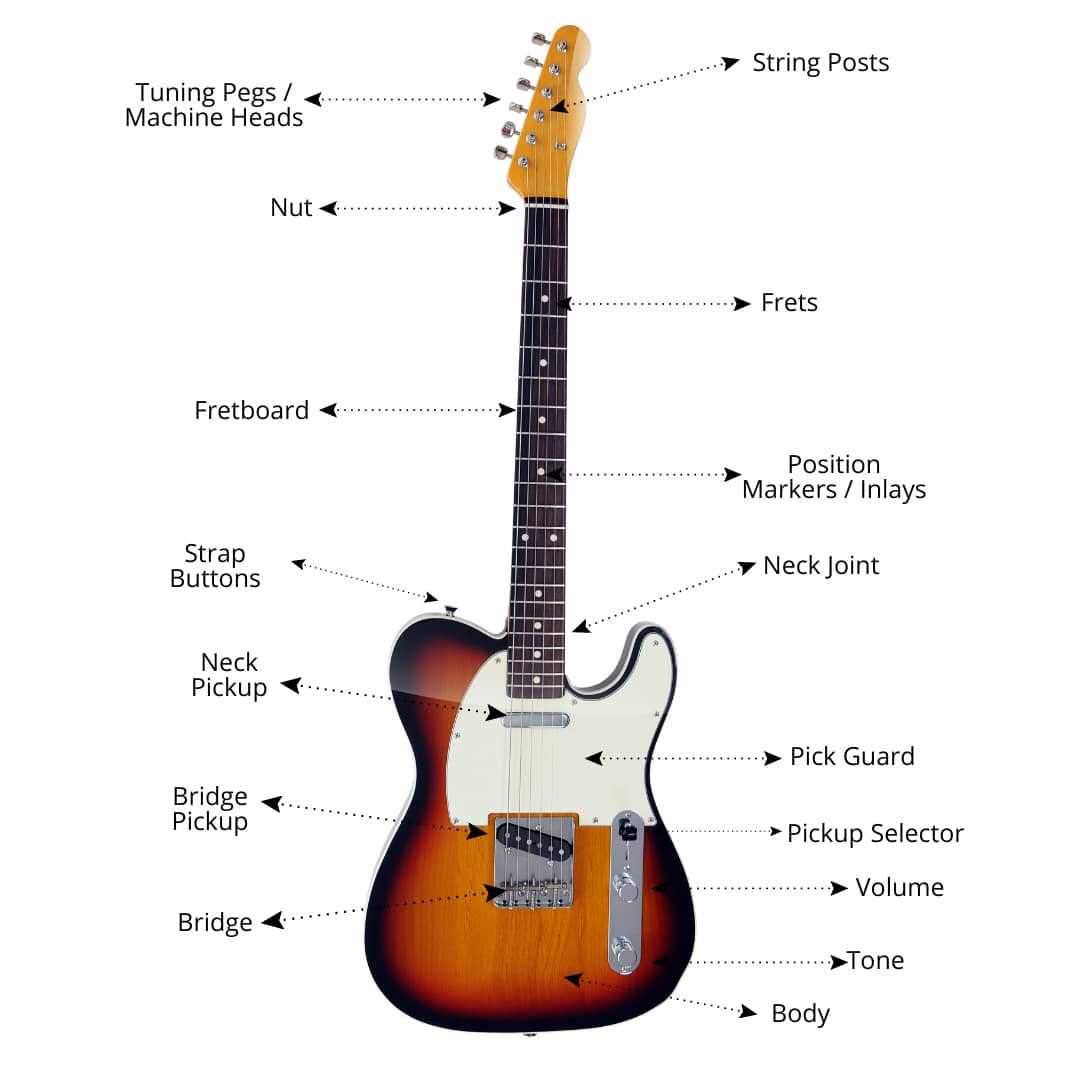 classical guitar parts diagram
