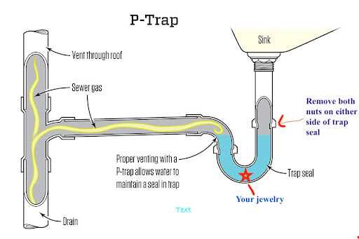 p trap parts diagram