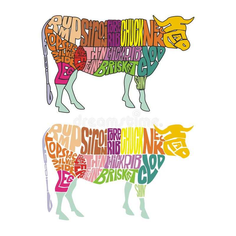 parts of a cow diagram