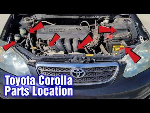 diagram toyota corolla body parts names