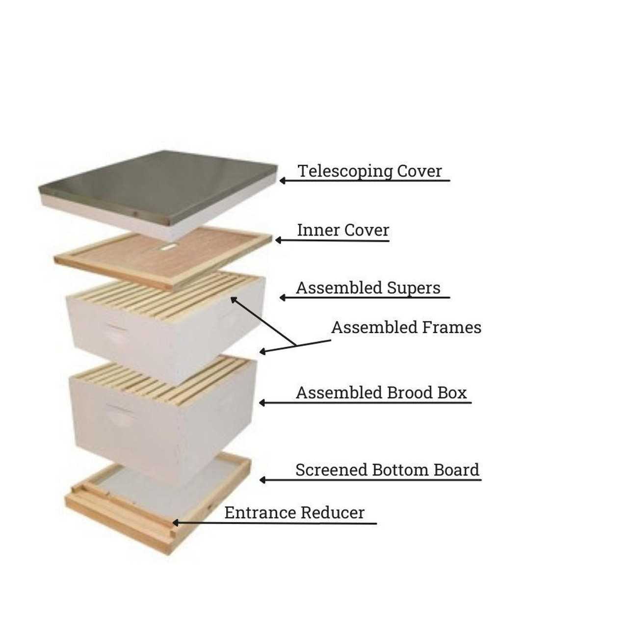 beehive parts diagram