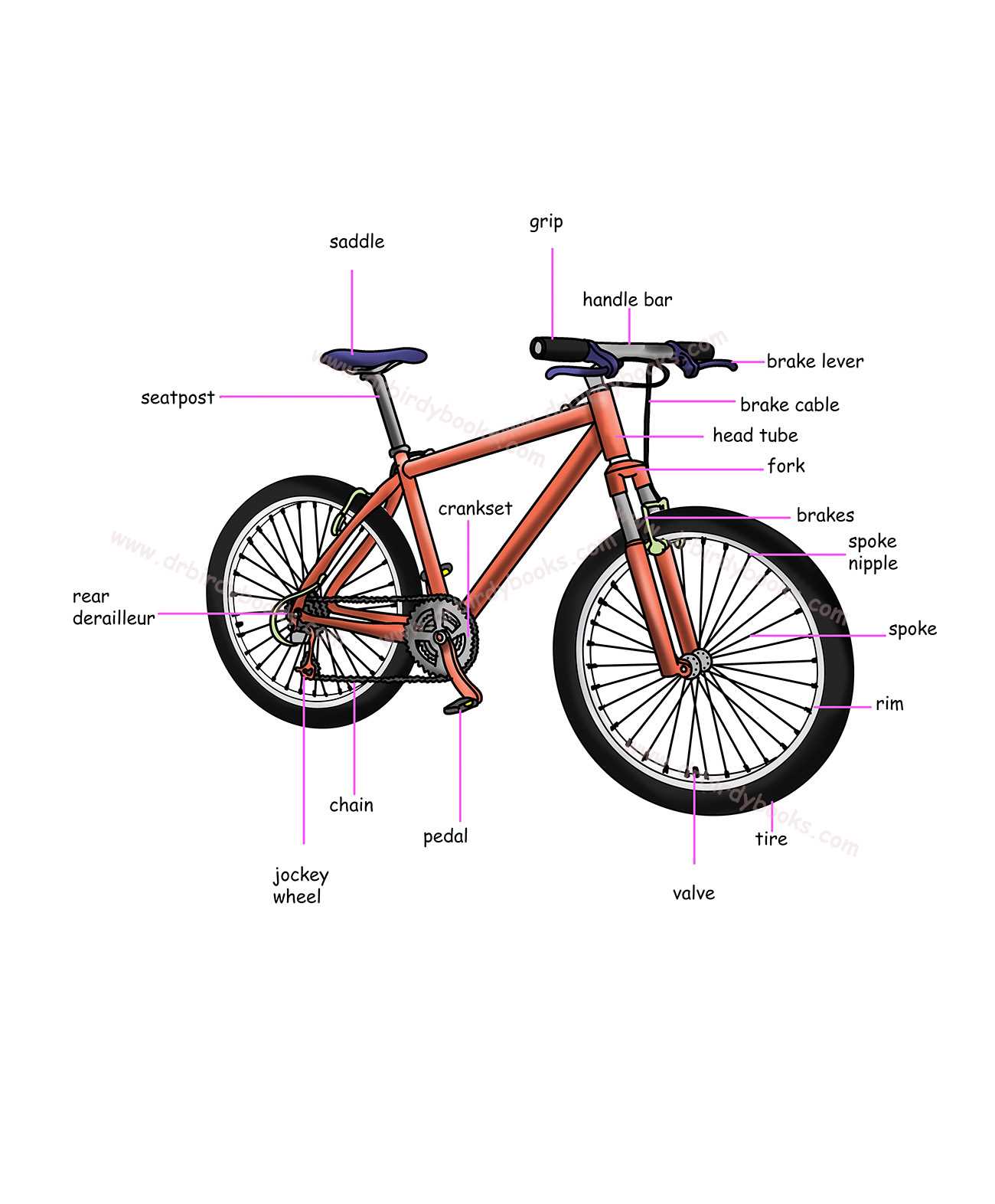 bicycle brake parts diagram