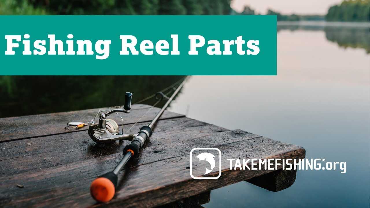 fishing reel parts diagram