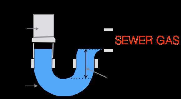 p trap parts diagram