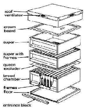 parts of a beehive diagram