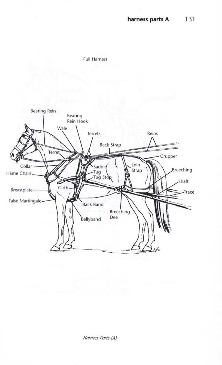 parts of a horse harness diagram